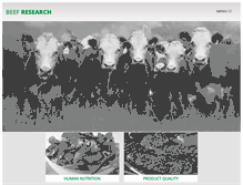 Tablet Screenshot of beefresearch.org